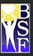 Brighter Stronger Foundation Logo