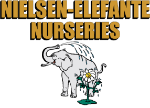 Nielsen Elefante Nurseries Logo