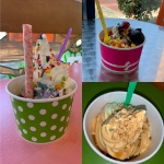 Mickeys Yogurt Hemet, LLC Logo
