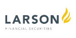 Larson Network Services, LLC Logo