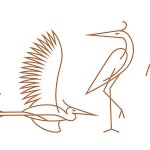 Noelle Hotel Logo