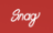 Snag Delivery Logo