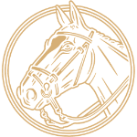 Arette Tequila USA Logo