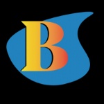 BrightSpace Solutions LLC Logo