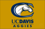 The Davis Team Logo