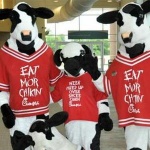 Chick-fil-A INSIDE Oglethorpe Mall Logo