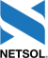 Netsoltech Logo