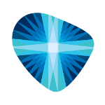 Remington Medical Inc Logo