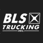 BLS Trucking Logo