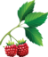 North of Boston Farm and Food Hub Logo