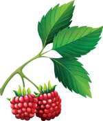 North of Boston Farm and Food Hub Logo