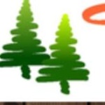 Twin Trees Camillus Logo