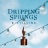 Dripping Springs Distilling Logo