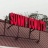 Sunny Donut Logo