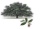 Live Oak Tree Service, LLC Logo