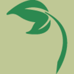 Full Circle Natural Medicine Logo