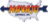 Navajo Express Logo