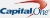 Capital One Logo