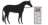 Stonehouse Stables  Logo