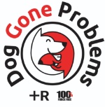 Dog Gone Problems Logo