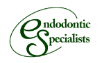 Endodontic Specialists Logo