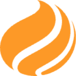 WEIDENHAMMER SYSTEMS CORPORATION Logo