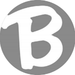 Brady Trucking Inc. Logo