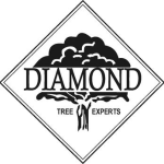 Diamond Tree Experts Logo