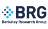 Berkeley Research Group, LLC Logo