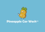 Pineapple Car Wash Logo