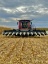 Mahin Farms, LLC Logo