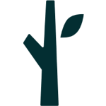 Key Safety Logo