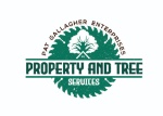 Pat Gallagher Enterprises Logo