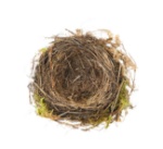 Robbins Nest Restaurant Logo