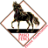 Paso Fino Horse Association Logo
