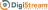 DigiStream Investigations Logo